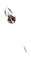 Xà Giáo